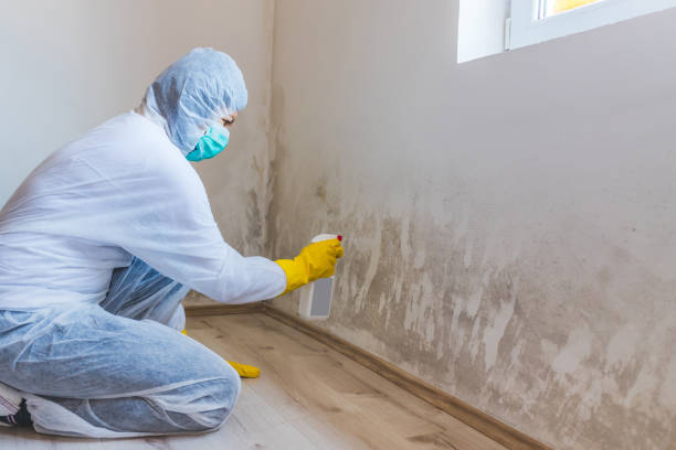 Mold Remediation specialist working in Goldsboro